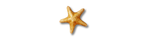 SEA LIFE